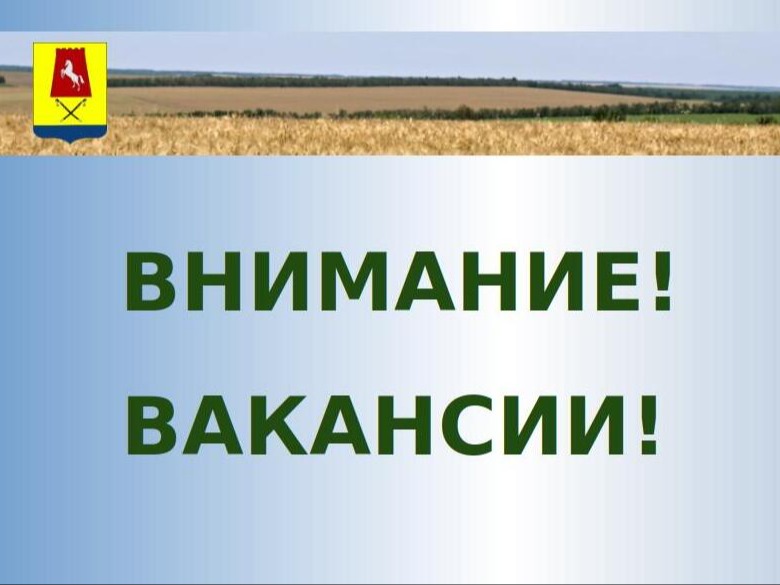 Отдел МВД России «Александровский» информирует о наборе граждан Российской Федерации на службу в органы внутренних дел на вакантные должности.