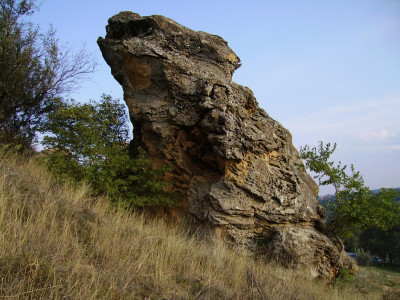Гора Лягушинка.